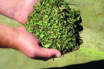 Brand- und Explosionsschutzanlagen sichern Teeproduktion