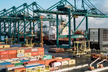 Hafen Antwerpen: Freigabe von Containern wird digitalisiert