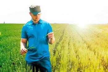 Nouryon und Atul bei Monochloressigsäure-Anlage in Gujarat auf Kurs