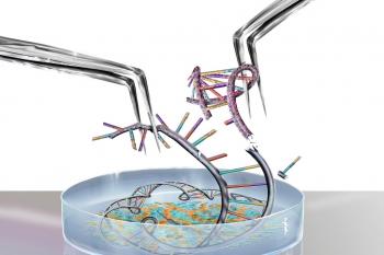 Chemie-Nobelpreis 2020 für Charpentier und Doudna